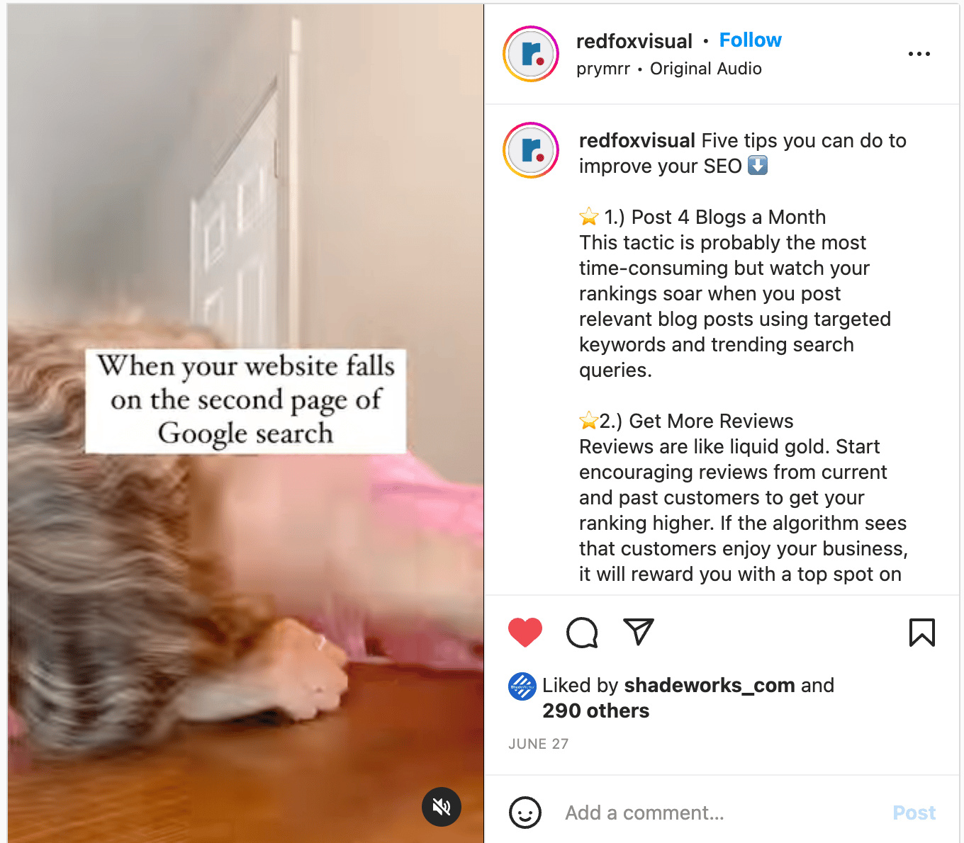 screen grab of instagram reel link
