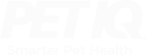 RFV-images-logo-petiq copy